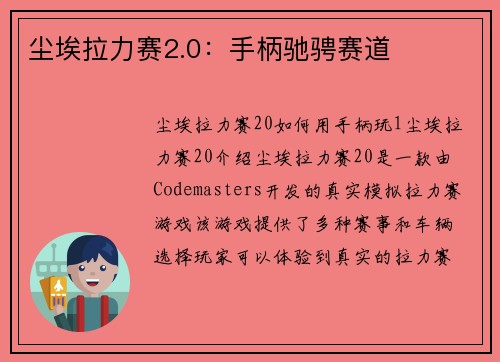 尘埃拉力赛2.0：手柄驰骋赛道